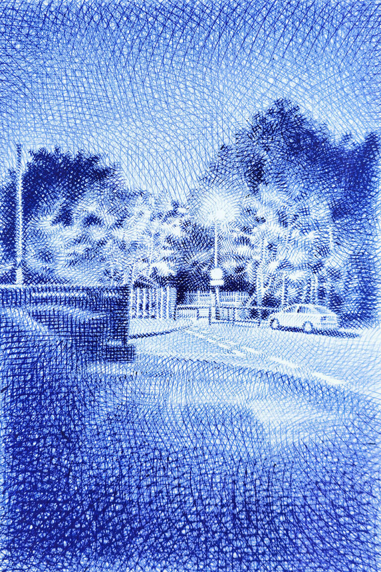 Bloom of Night -2025